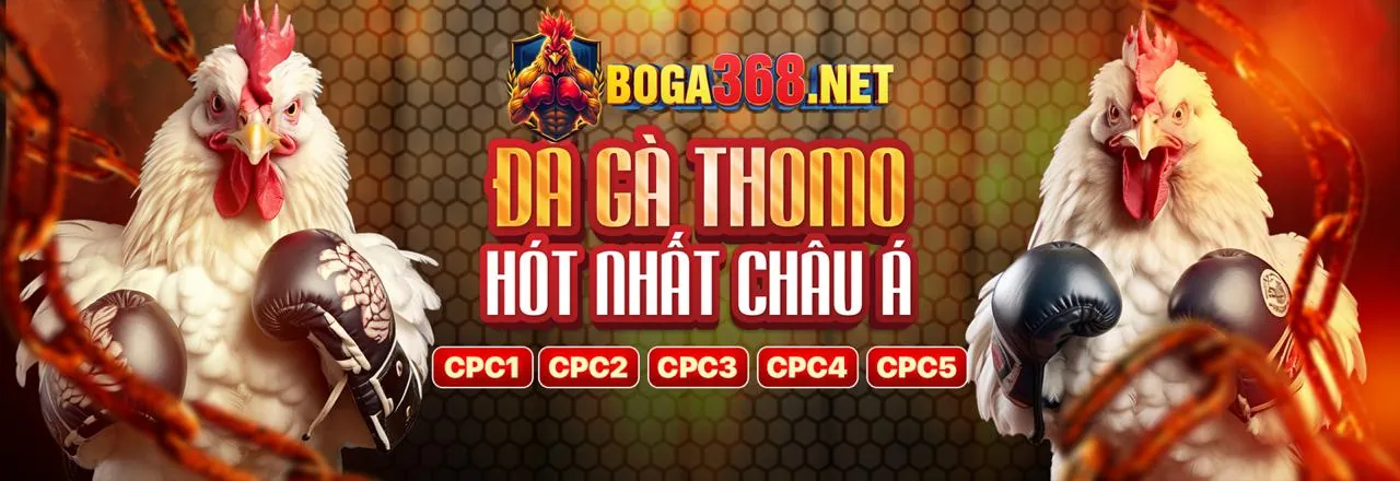 Tham gia cộng đồng debet2 nhà cái ngay hôm nay